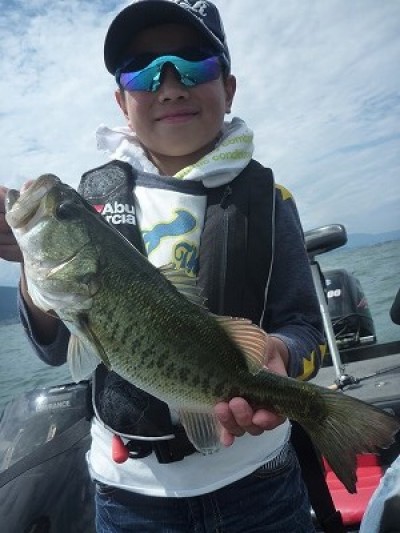 truth news ブログ写真 2014/06/08