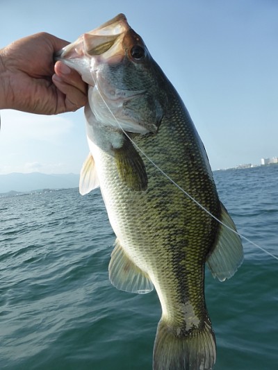 truth news ブログ写真 2014/06/09