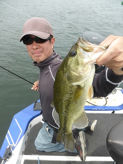 truth news ブログ写真 2014/06/10