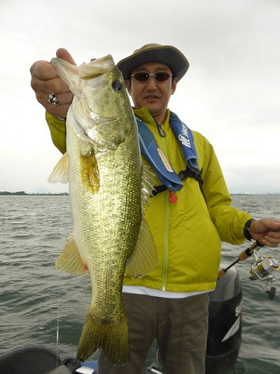 truth news ブログ写真 2014/06/11