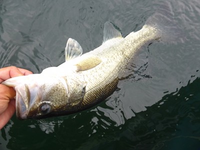 truth news ブログ写真 2014/06/11