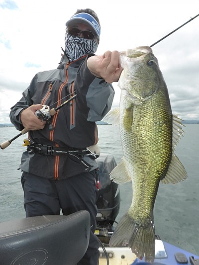 truth news ブログ写真 2014/06/12