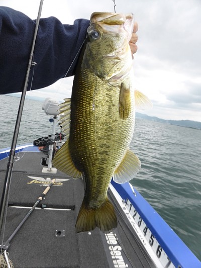 truth news ブログ写真 2014/06/12