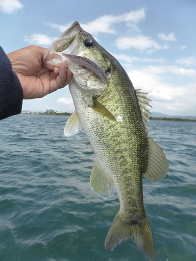 truth news ブログ写真 2014/06/13