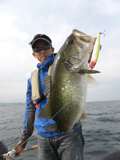 truth news ブログ写真 2014/06/14