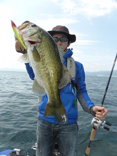 truth news ブログ写真 2014/06/14