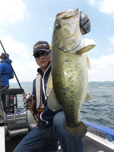 truth news ブログ写真 2014/06/14