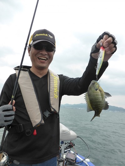 truth news ブログ写真 2014/06/14