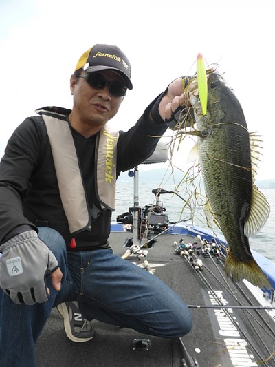 truth news ブログ写真 2014/06/14