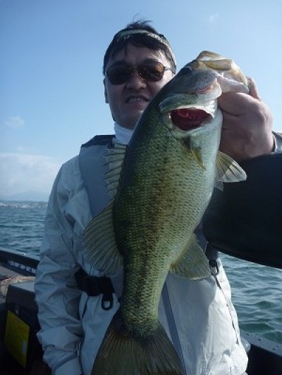 truth news ブログ写真 2014/06/14