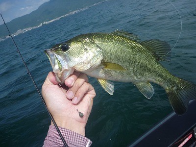 truth news ブログ写真 2014/06/14