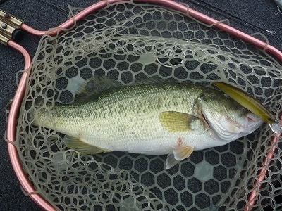 truth news ブログ写真 2014/06/14