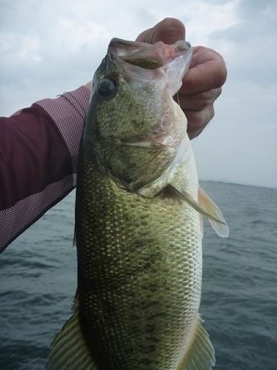 truth news ブログ写真 2014/06/14