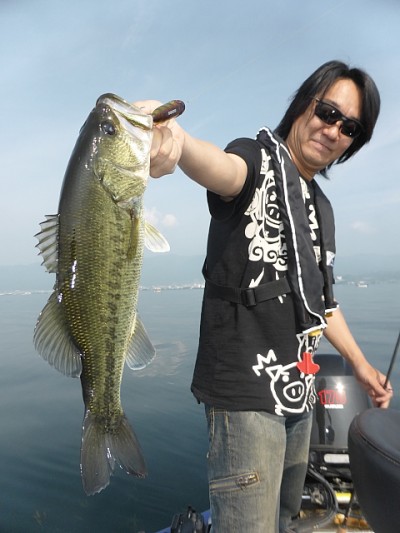 truth news ブログ写真 2014/06/17