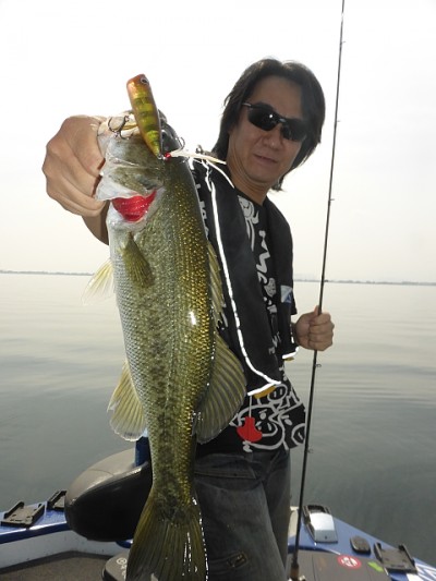 truth news ブログ写真 2014/06/17