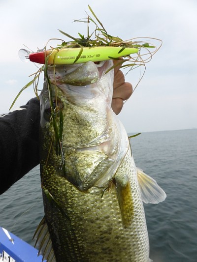 truth news ブログ写真 2014/06/17