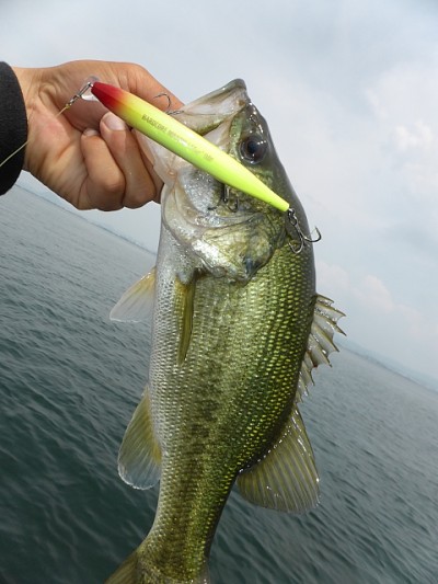 truth news ブログ写真 2014/06/17