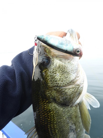 truth news ブログ写真 2014/06/17