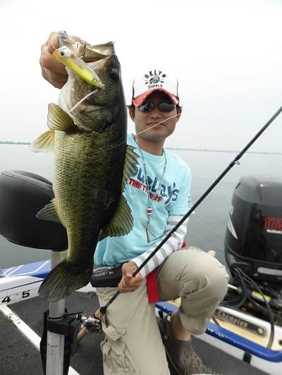 truth news ブログ写真 2014/06/17