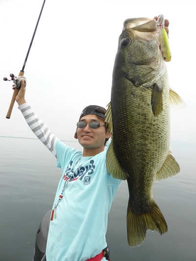 truth news ブログ写真 2014/06/17