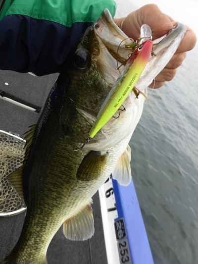 truth news ブログ写真 2014/06/17