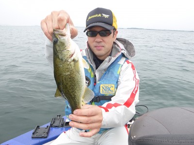 truth news ブログ写真 2014/06/18