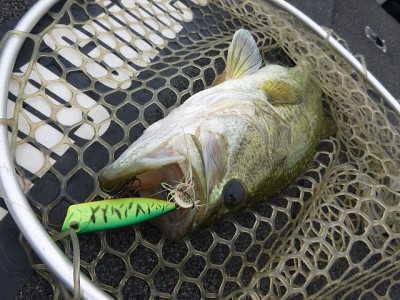 truth news ブログ写真 2014/06/18