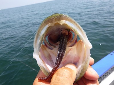 truth news ブログ写真 2014/06/20