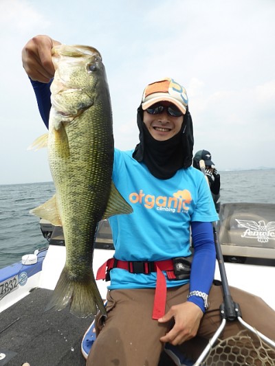 truth news ブログ写真 2014/06/20