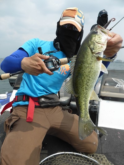 truth news ブログ写真 2014/06/20