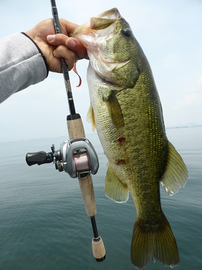 truth news ブログ写真 2014/06/20