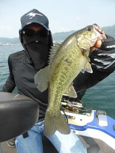 truth news ブログ写真 2014/06/20