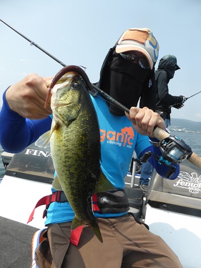 truth news ブログ写真 2014/06/20