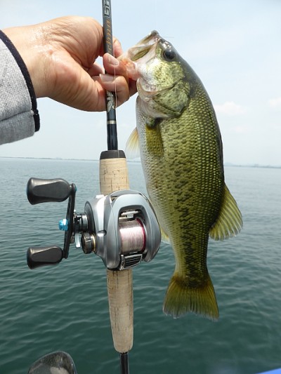 truth news ブログ写真 2014/06/20