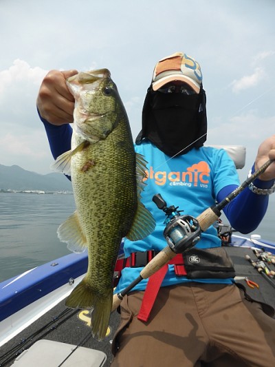 truth news ブログ写真 2014/06/20