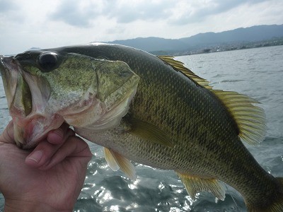 truth news ブログ写真 2014/06/21