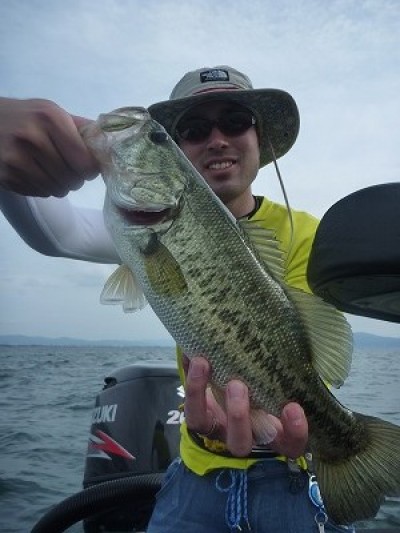 truth news ブログ写真 2014/06/21