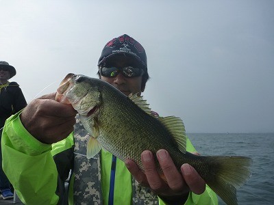 truth news ブログ写真 2014/06/21