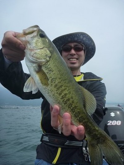 truth news ブログ写真 2014/06/21