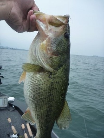 truth news ブログ写真 2014/06/21