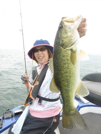 truth news ブログ写真 2014/06/22