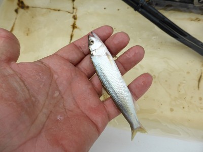 truth news ブログ写真 2014/06/22