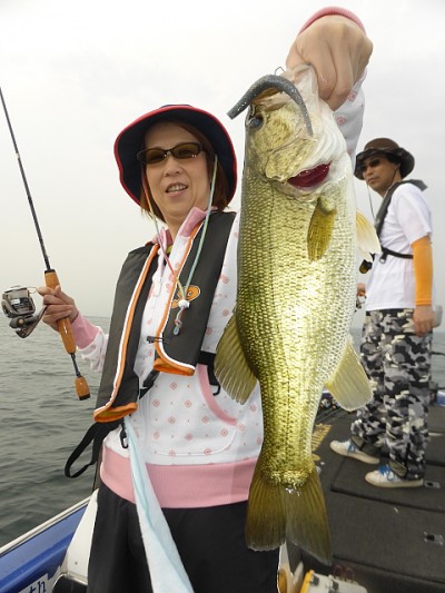 truth news ブログ写真 2014/06/22