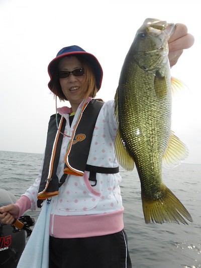 truth news ブログ写真 2014/06/22