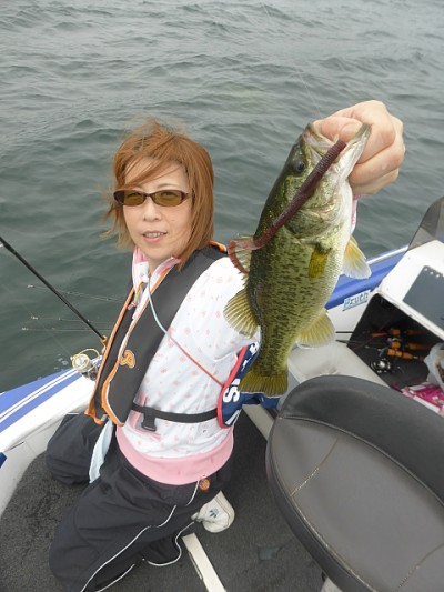 truth news ブログ写真 2014/06/22