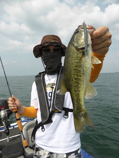 truth news ブログ写真 2014/06/22