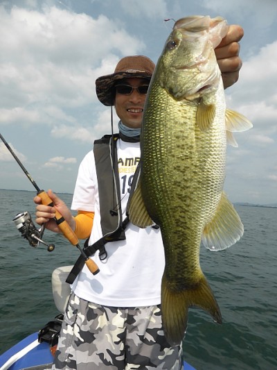 truth news ブログ写真 2014/06/22