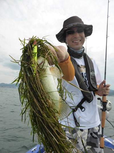 truth news ブログ写真 2014/06/22