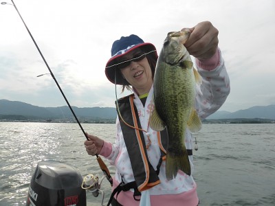 truth news ブログ写真 2014/06/22