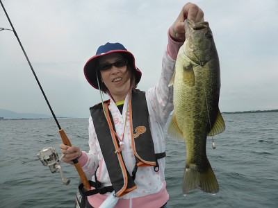 truth news ブログ写真 2014/06/22